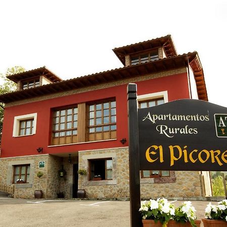 Apartamentos El Picoretu Mestas De Con Camera foto