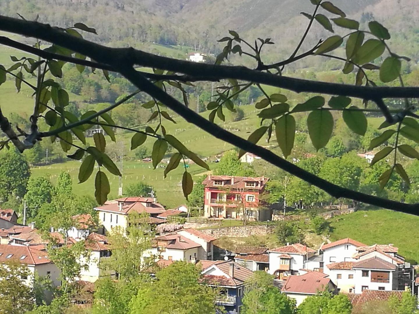 Apartamentos El Picoretu Mestas De Con Esterno foto