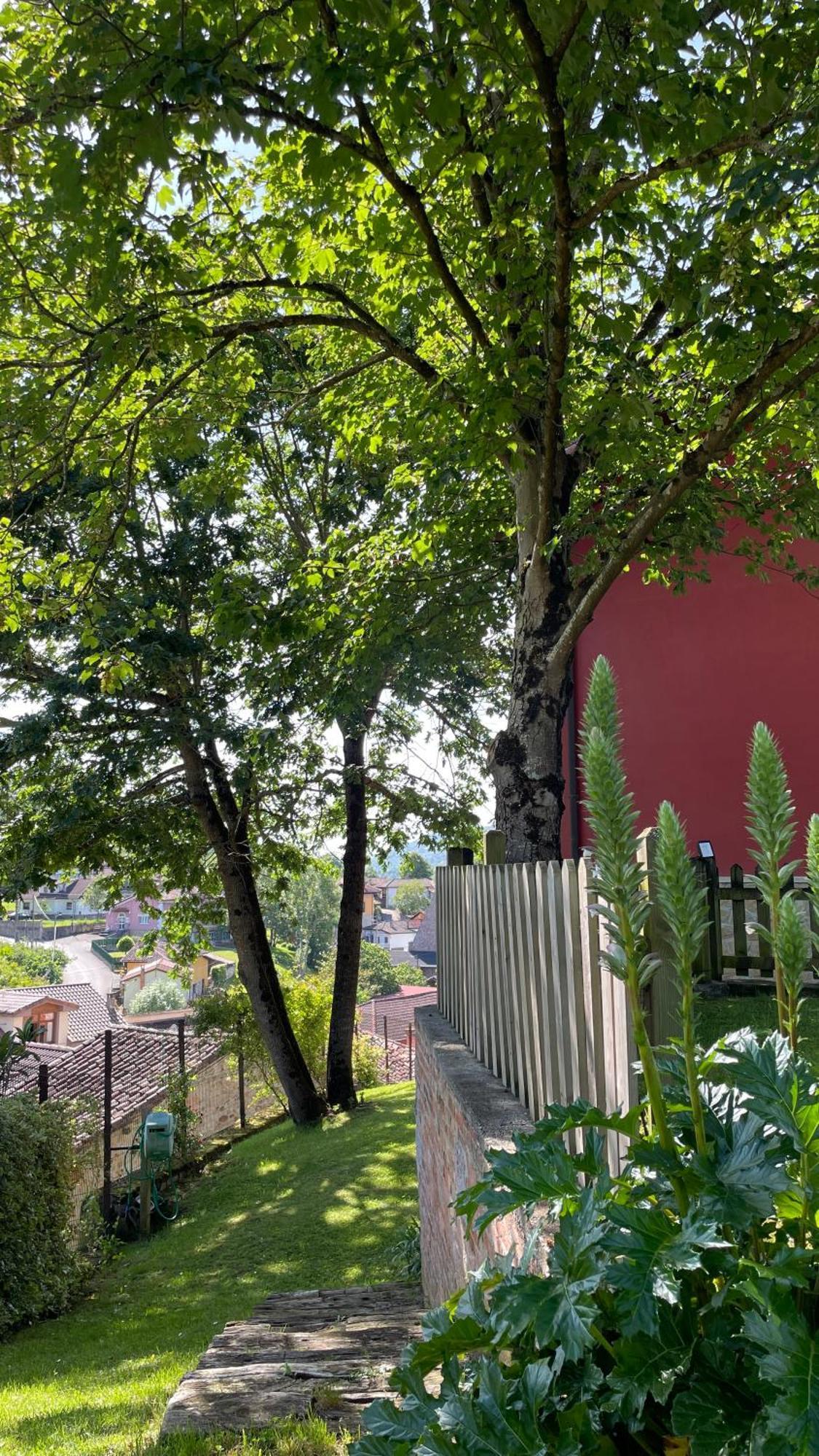 Apartamentos El Picoretu Mestas De Con Esterno foto